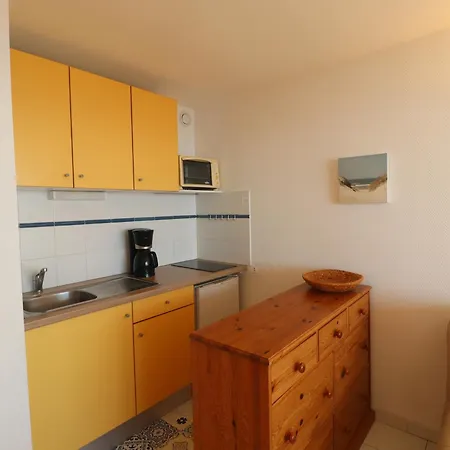 Apartment T2 Avec Wifi, 1ere Ligne Mer, Terrasse, Parking - Fr-1-472a-310